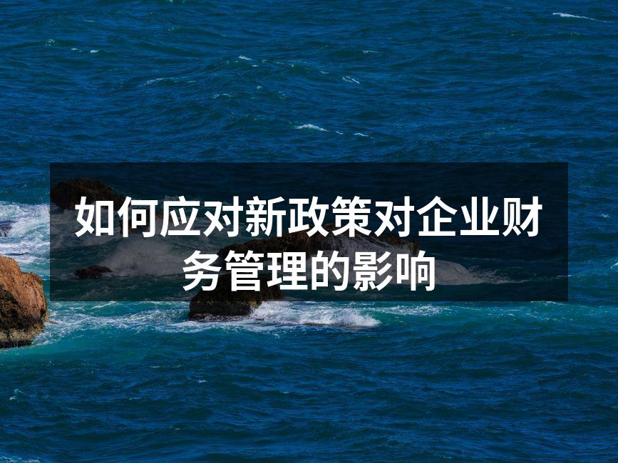 如何应对新政策对企业财务管理的影响