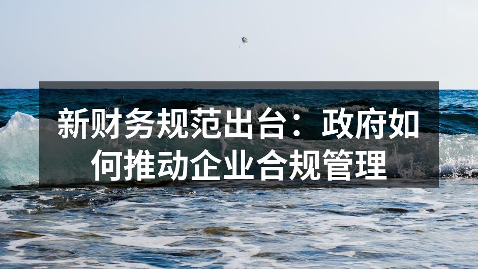 新财务规范出台：政府如何推动企业合规管理