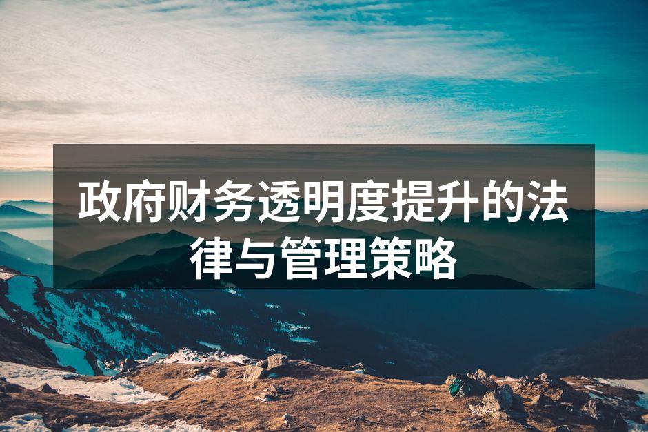 政府财务透明度提升的法律与管理策略