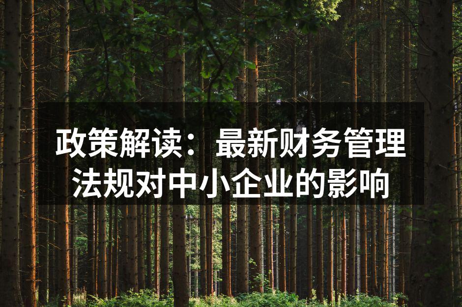 政策解读：最新财务管理法规对中小企业的影