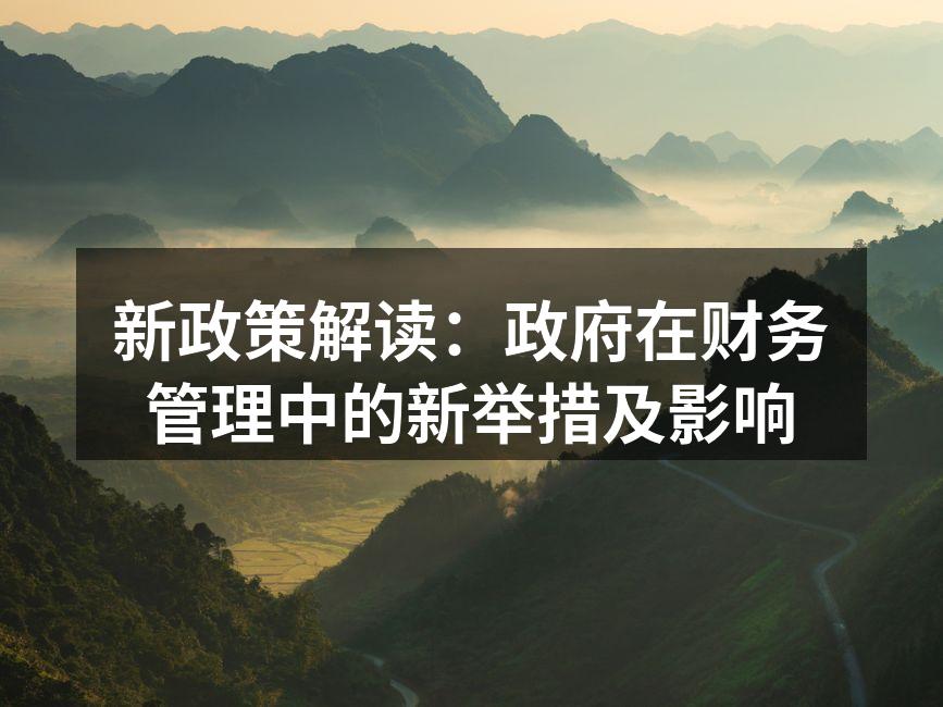 新政策解读：政府在财务管理中的新举措及影