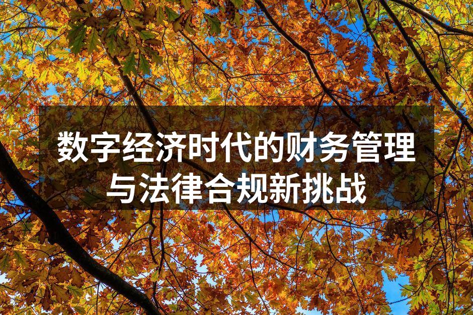 数字经济时代的财务管理与法律合规新挑战
