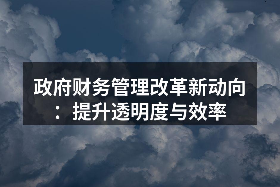 政府财务管理改革新动向：提升透明度与效率