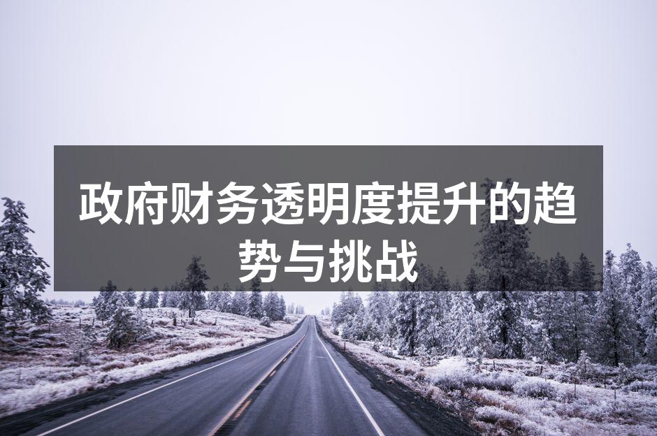 政府财务透明度提升的趋势与挑战