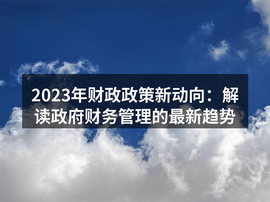 2023年财政政策新动向：解读政府财务管